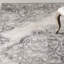 Oriental Area Rug-20567482