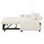 Canapé-lit de 57,48 po avec deux coussins décoratifs et ports USB-117012608