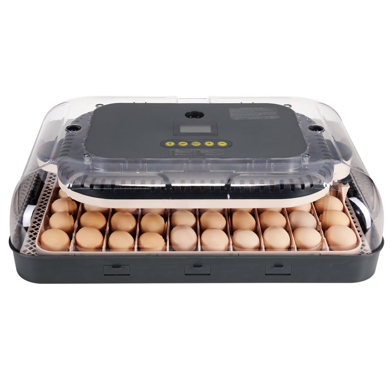 70 Egg Incubator With Incubators Automatic Egg Turning And Humidity Temperature Control, 70 Eggs Capacity For Hatching Eggs, Chicken Eggs, Duck Eggs, Temperature Adjustment And Alarms