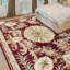 Savonnerie Wool Oriental Area Rug