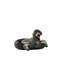 Lit pour chien Tucker Murphy Pet ™ par Arlee Home & Pet Orbit-602548109