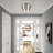 Acklin 2 Light Brushed Nickel Medium Semi-flush-135025496-135025478