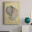 Seashell Ephemera V - impression sur toile tendue-2128606742