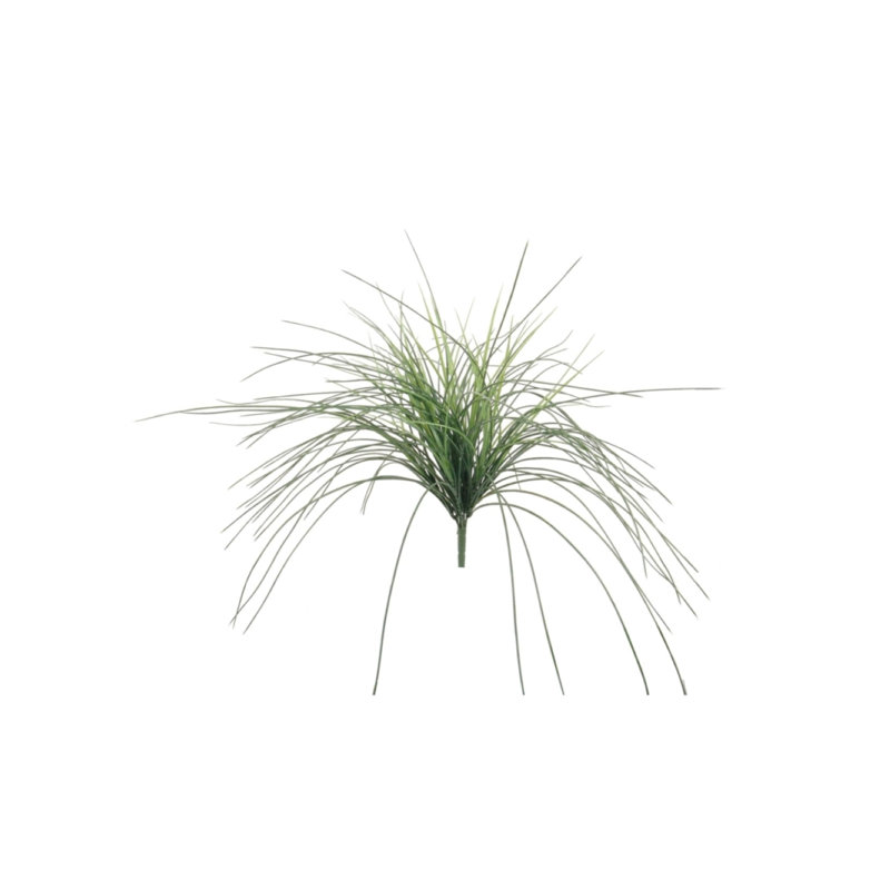 Scruggs 23'' Faux Mondo Grass Grass