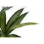 Plante artificielle