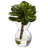 6 " H Faux Succulent Plant and Succulent in Glass Decorative Vase