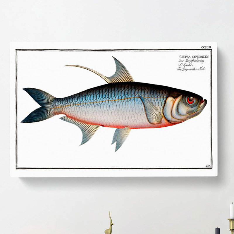 Deep-Water Fish by Louis Renard - Wrapped Canvas Painting, 40cm H x 60cm W x 3cm D