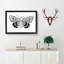 Sleepy Underwing Moth by S.F. Denton - Picture Frame Painting Print-55619413-55619416