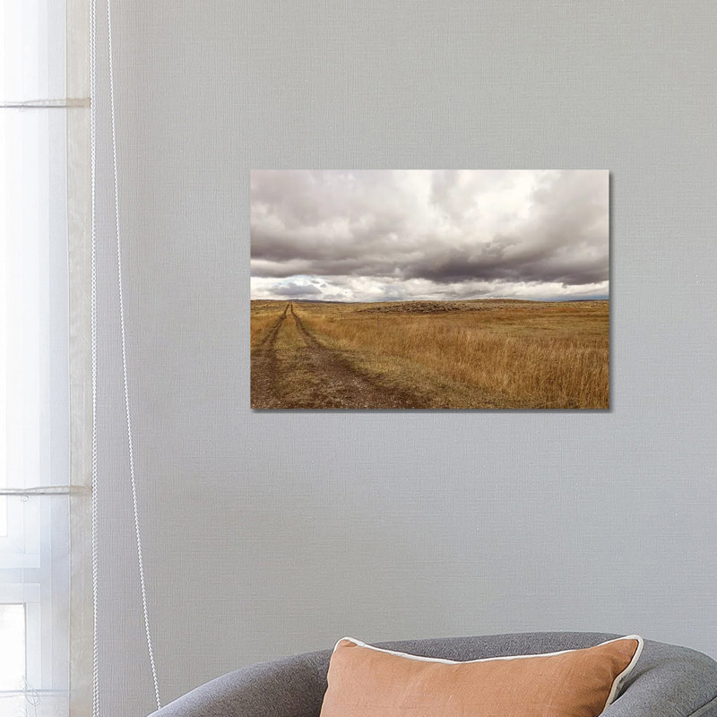 Orages sur la prairie du Montana, H 18 po x l 26 po x P 1,5 po, Pas de tapis, Toile tendue