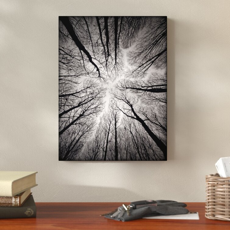 Ceiling - Graphic Art Print