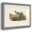 Audubons Blue Heron-144717900