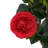 2 Pack 38.2" Artificial Tea Rose Tree-1481589112