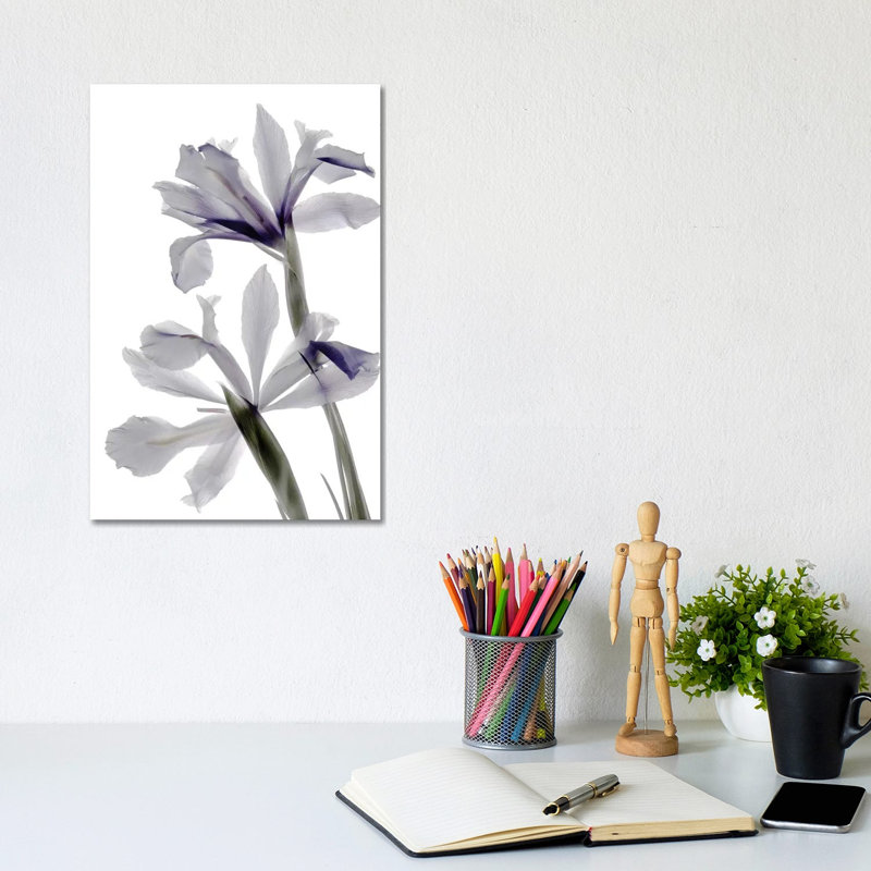 X-Ray Iris by Judy Stalus - Wrapped Canvas Painting, 20.32 cm H x 30.48 cm W