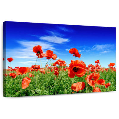 Harnek Poppies On A Sunny Day