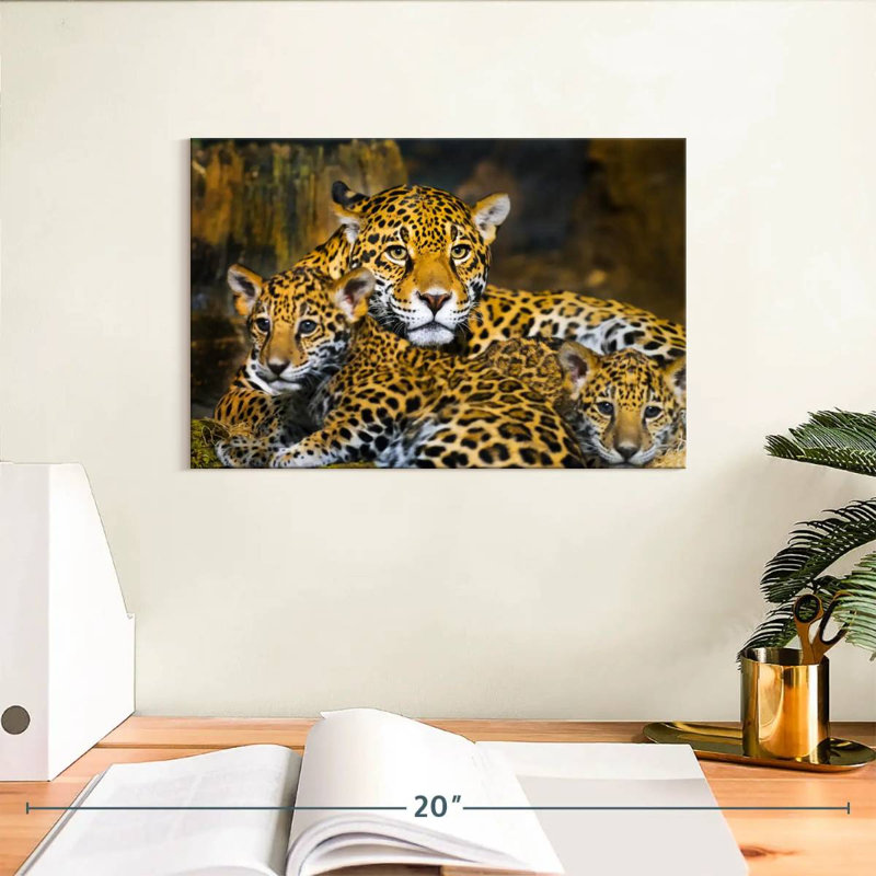 Bébé jaguar Brampt, H 8 po x l 12 po