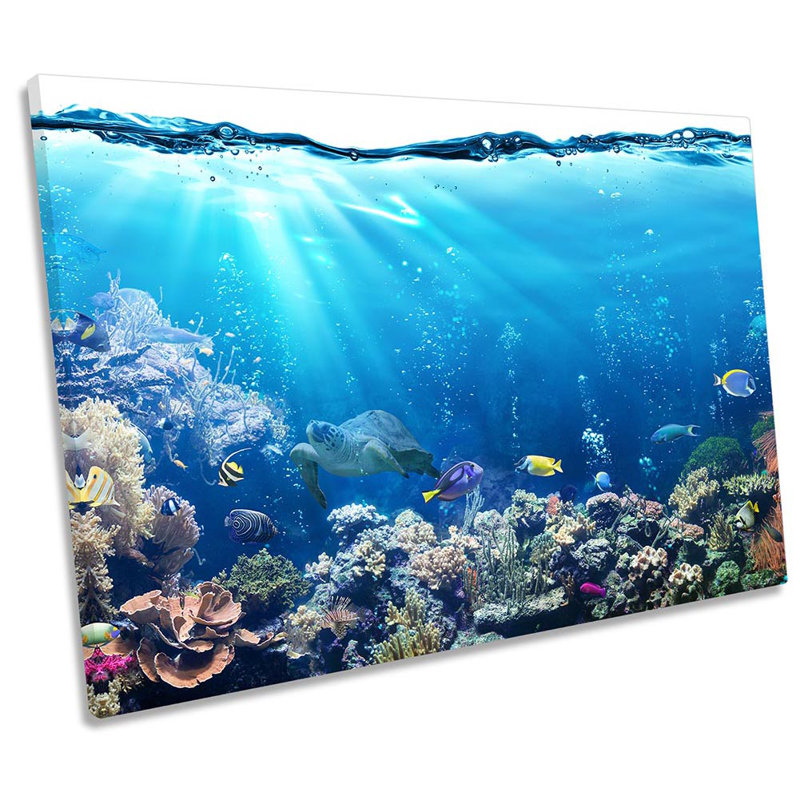 Underwater Fish Coral Marine Framed - Wrapped Canvas Print, 30.5cm H x 45.7cm W x 2cm D