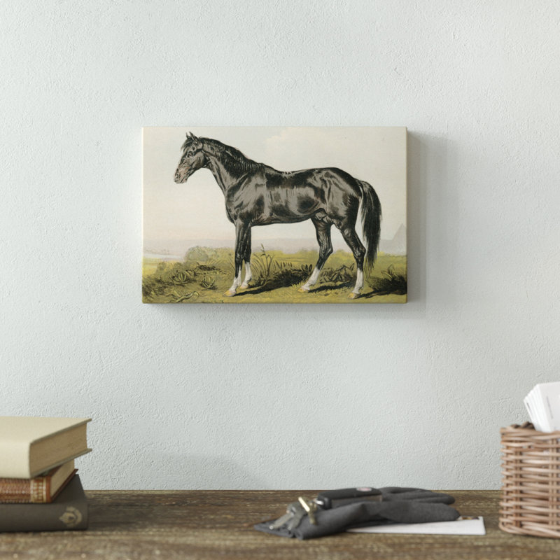 Cassells Horse II - Painting Print, Wrapped Canvas, 20cm H x 30cm W