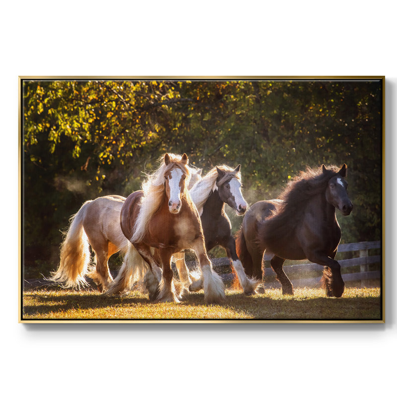 Sunlit Horses III, reproduction d'art sur toile encadrée, Or, H 27 po x l 41 po x P 2 po