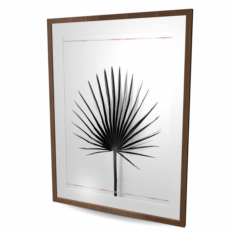 Cabbage Palm Leaf with Rose Lines - Framed Botanical Print