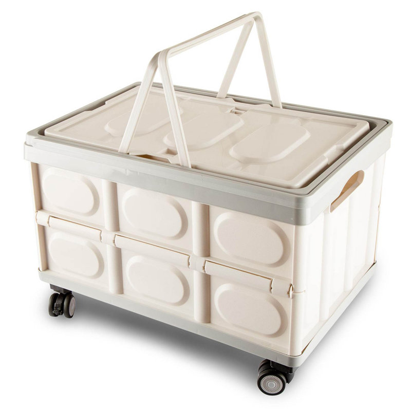 Rebrilliant Plastic Storage Tub & Tote, Grey