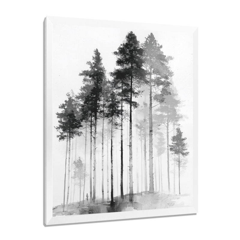 «Black and White Tall Pine Tree Forest», reproduction d'art sur toile Nature, Cadre photo unique, H 20 po x l 12 po, Blanc