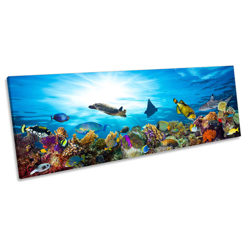 Marine Fish Corals Ocean - Wrapped Canvas Panoramic Print, 60.96cm H x 182.88cm W x 4cm D