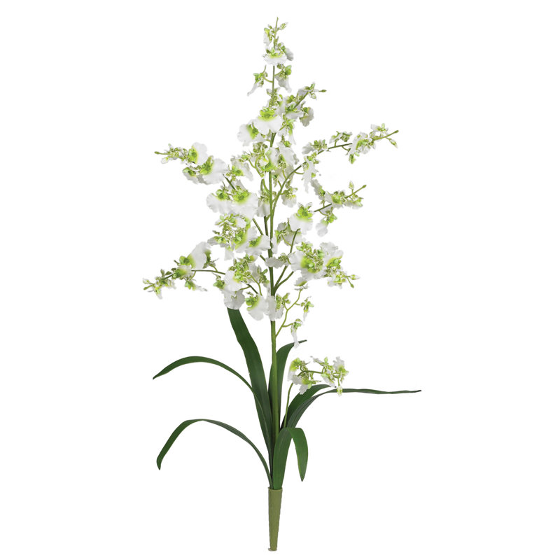 Arrangement floral orchidée danseuse