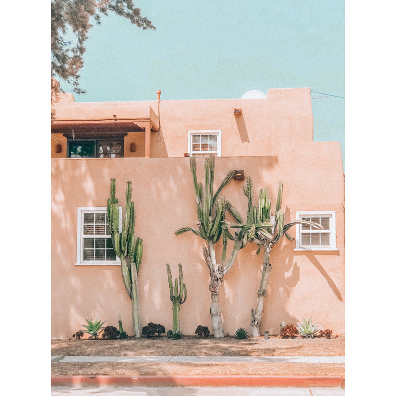 Building with Cactus - Photograph Print, 30cm H x 20cm W, Wrapped Canvas
