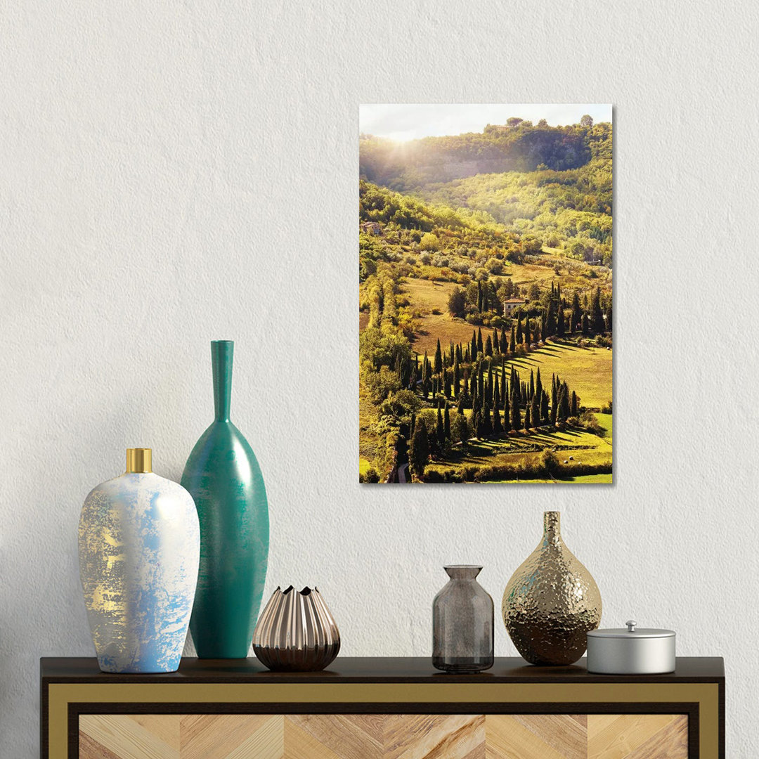 Countryside In Tuscany Italy With Cyprus Trees von Susan Richey - Gallery-Wrapped Canvas Giclée on Canvas