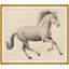 Scribble Horse Print