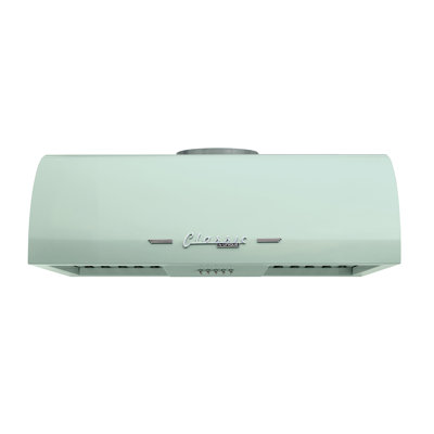 Hotte sous un meuble à conduit classique 24 pouces 500 CFM avec cloisons en acier inoxydable et éclairage Classic