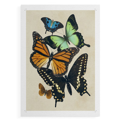 Collage de papillons I - impression sur toile seulement - non encadrée