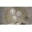 Molly Round Paper Rope Wall Decor Set of 3-1626675526