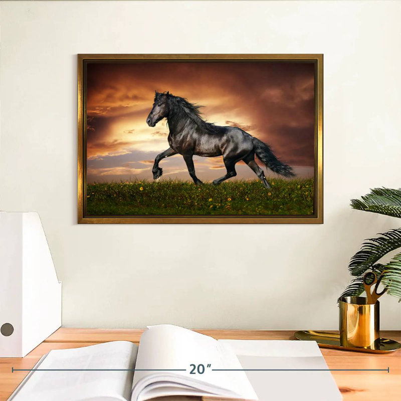 Cheval baroque, Cadre flottant doré, 13 po x 9 po