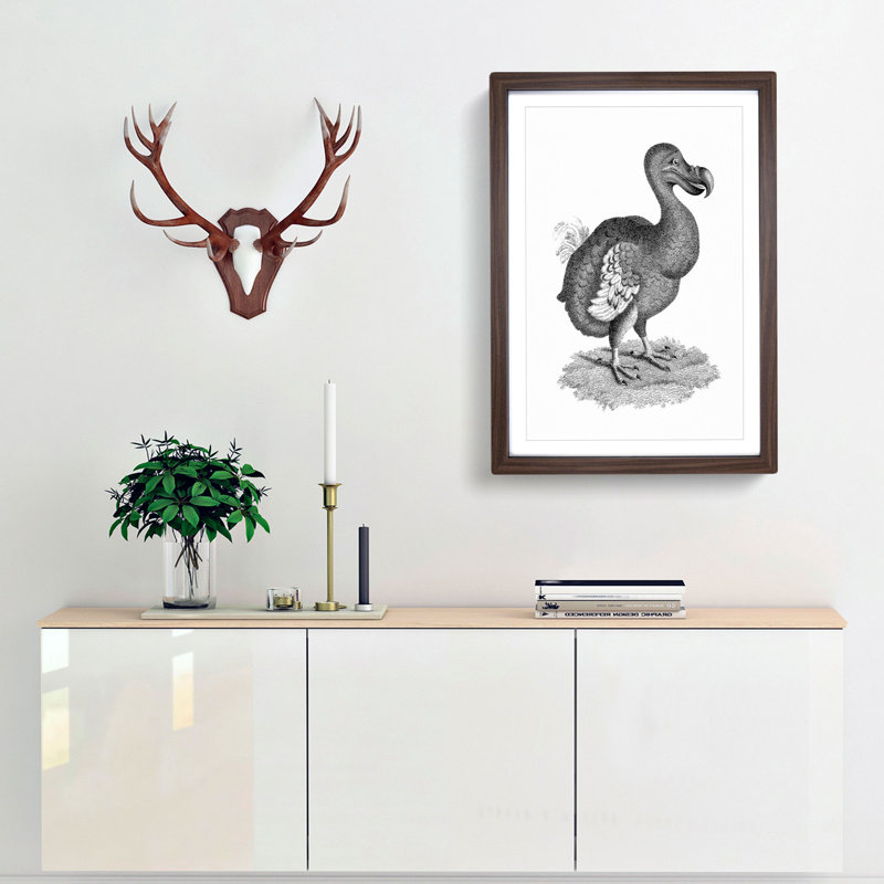 Dodo in Black and White by George Shaw - Picture Frame Drawing Print, 36cm H x 27cm W x 2cm D, Walnut Framed