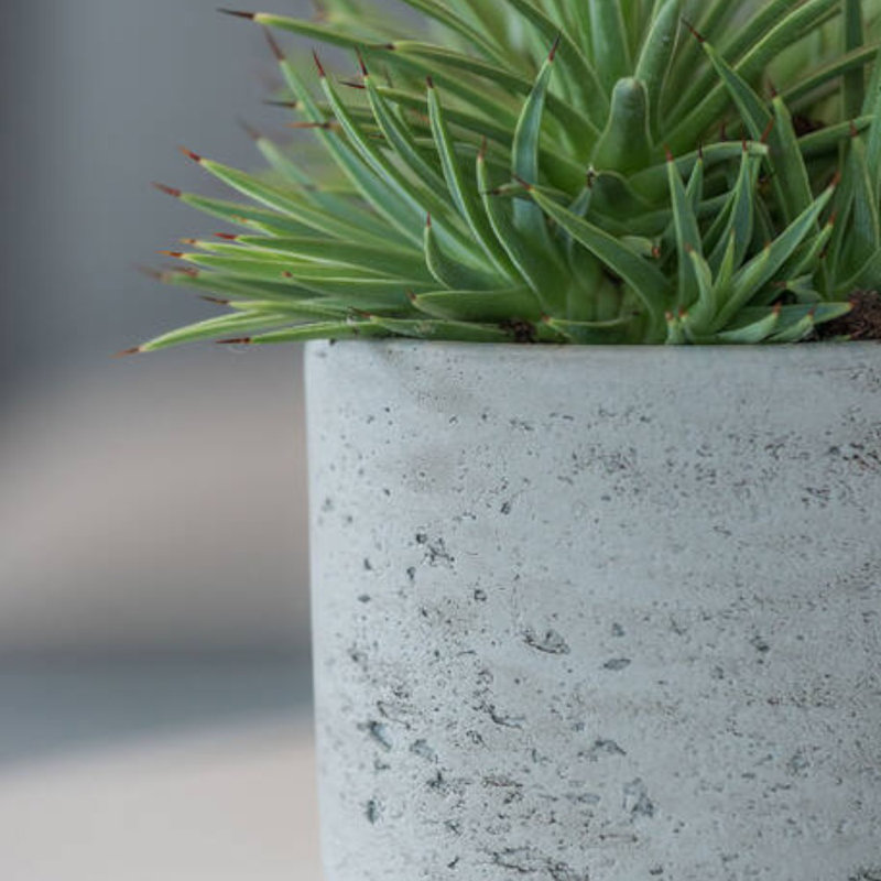 Planter Box, 6" H x 6" W x 6" D