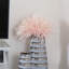 Aster Arrangement-37209587