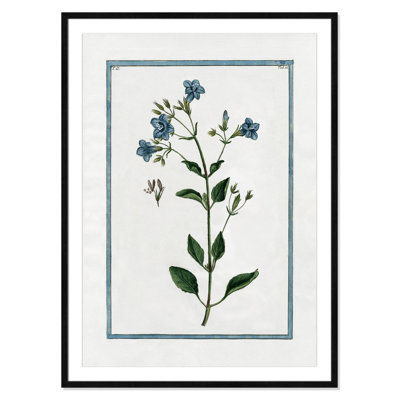 Colombe "Shabby Elegance Botanical II" Print