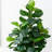 Weir 72'' Faux Fiddle Leaf Fig Tree in Pot
