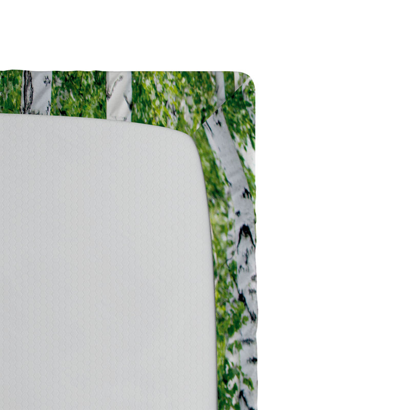 Ensemble de 2 draps-housses Ambesonne, Drap-housse simple TG