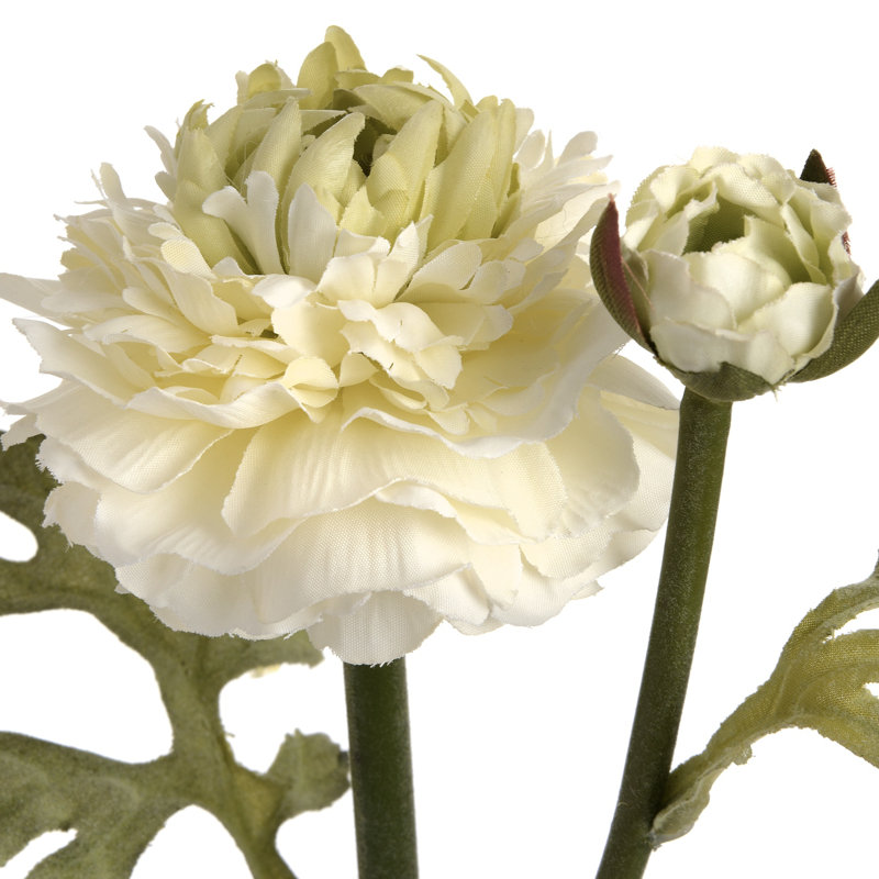 Arrangement