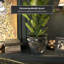 Medallion Urn-347584817-347584821