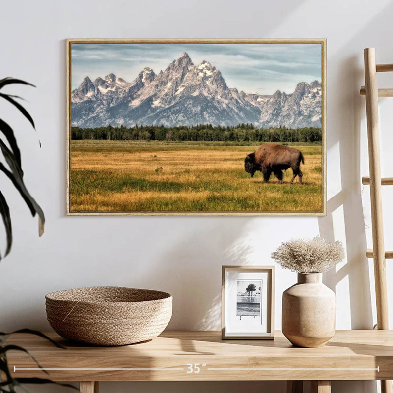 Bull Bison à Grand Teton, 25 po x 17 po, Cadre flottant en bois naturel