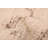 Looma Cream Rug 7'10" x 9'10"