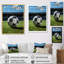 «Noisettier Soccer Ball Of Shadows I» sur toile-1819510972-1819510975