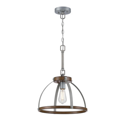 Fithian 1 - Light Caged Pendant