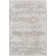 Avia Machine Woven Polyester/Polypropylene Area Rug in Gray/Beige