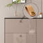 Fashionable Classic Storage Shoe Cabinet