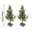 Arbre de Noël artificiel 2 pièces, mini arbre de Noël en PVC 13,5 po avec base en bois, décorations pour les fêtes