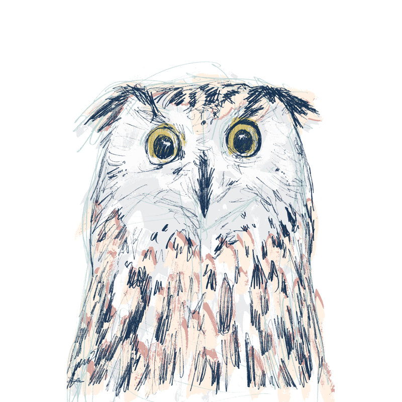 Funky Owl Portrait II, H 12 po x l 8 po x P 1 po